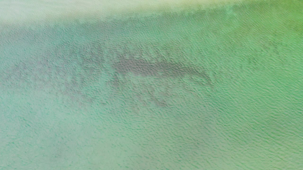 Aerial view of shallow aqua water in La Ribera, Baja California Sur, with a broad dark patch slightly left of center and no visible people.