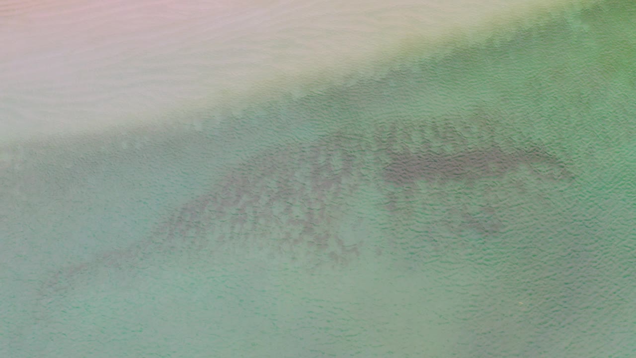 At the start of the La Ribera clip, pale turquoise-green water fills the frame with a darker submerged patch near the upper center and no visible people.