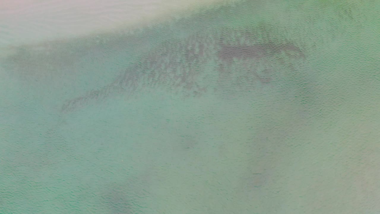 Aerial frame over La Ribera shallow water, where green-blue sea covers dark stone shapes beneath a pale sand strip, no visible people.