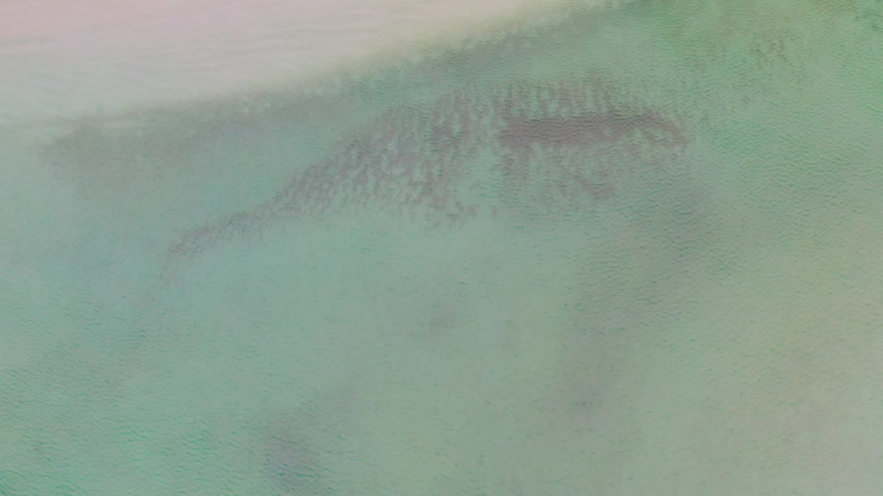 Overhead La Ribera shoreline water shows a pale sand wash at the top, green sea below, and dark submerged stone clusters, no visible people.