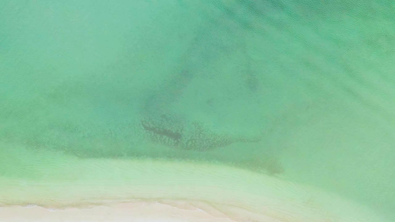 Green shallow ocean water with pale beach at the bottom edge.