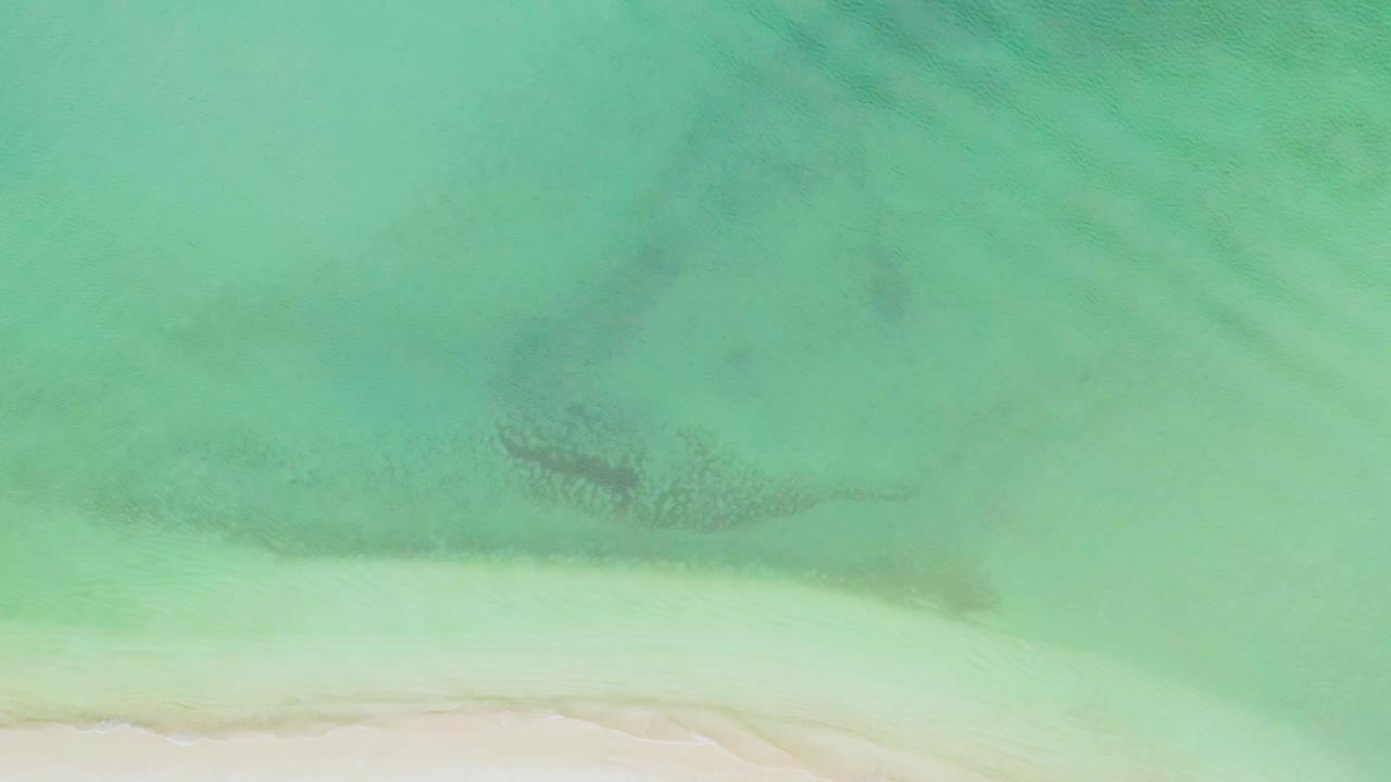 Aerial frame of calm green ocean in La Ribera, Baja California Sur, with the beach edge lower in frame and no visible people.