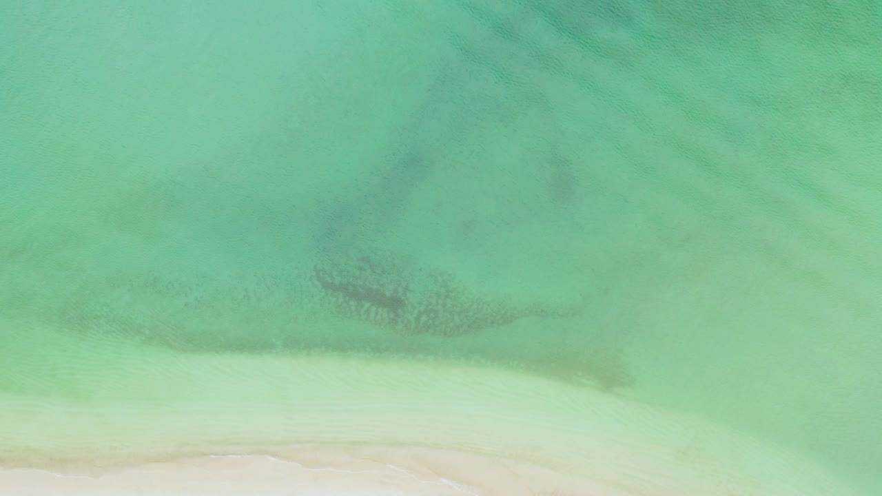 Aerial view of green coastal water near La Ribera, Baja California Sur, with a pale beach line and no visible people in the frame.