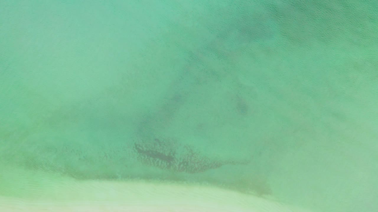 Top-down view of green shallow water in La Ribera, Baja California Sur, with pale sand tones near the lower edge, darker seabed patches, and no visible people.