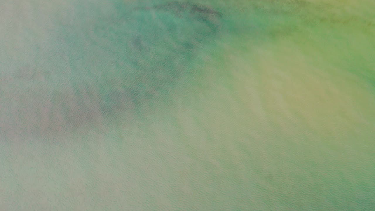Overhead frame in La Ribera, Baja California Sur showing green shallow water with a faint pale beach band near the top and no visible people.