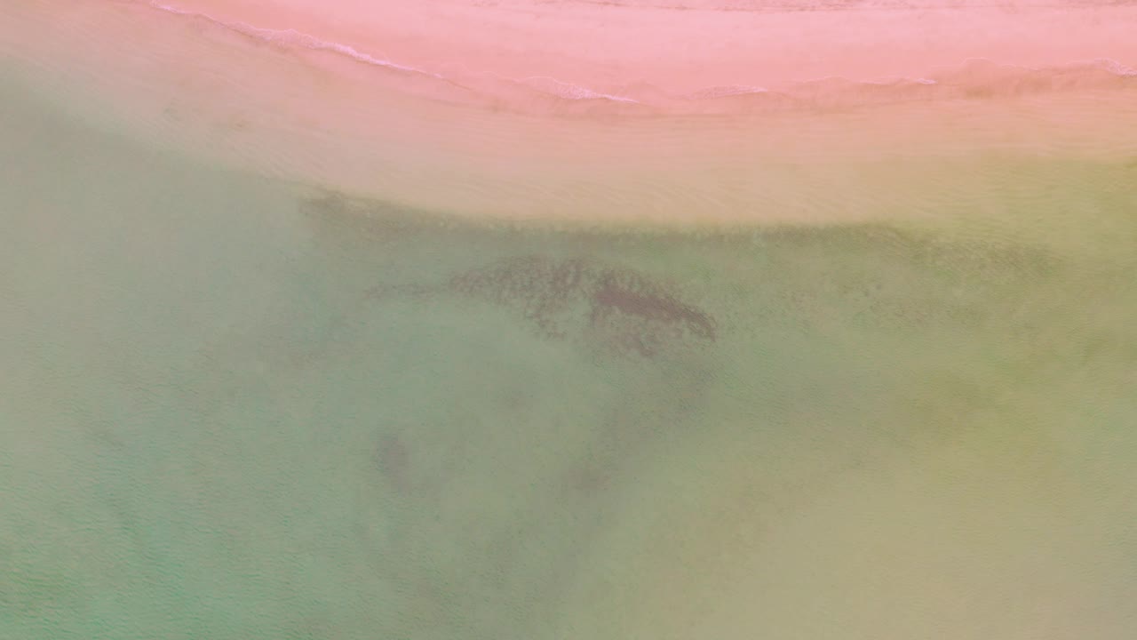 Aerial-looking frame from La Ribera showing the pink beach edge stretched across the top and green water below with darker shapes under the surface, no visible people.