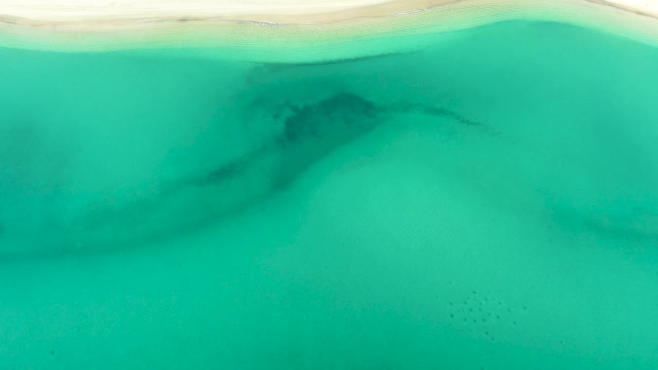 Overhead shoreline view in La Ribera, Baja California Sur, with a pale sand band above green water and no visible people.