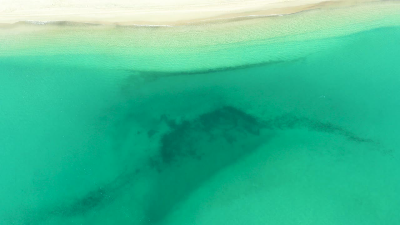 Overhead view of turquoise water off La Ribera, Baja California Sur, with a pale shoreline band at the top and a dark submerged shape beneath the surface, no visible people.