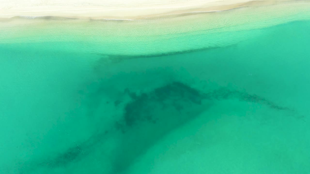 Aerial frame over La Ribera water with the shoreline near the top edge, clear green-turquoise shallows, and dark underwater forms drifting across the center, no visible people.