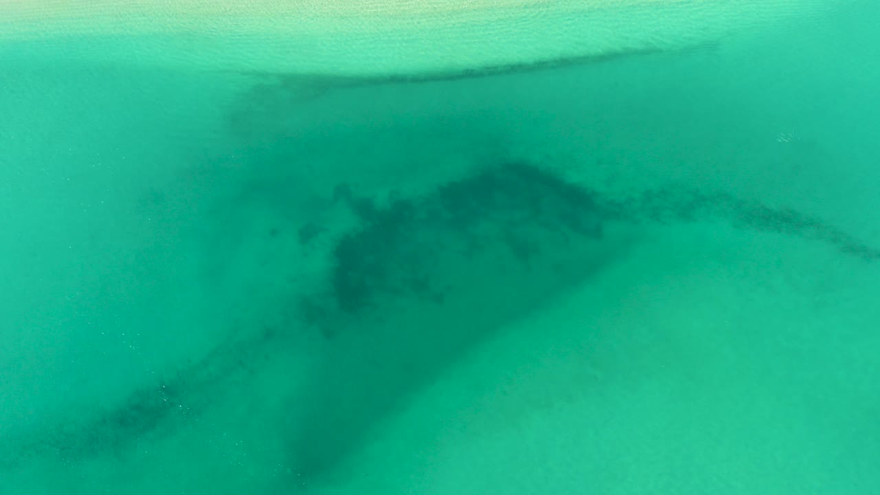 A dark shark silhouette is visible below turquoise shallow water in La Ribera, Baja California Sur, with a pale surf band near the top and no visible people.