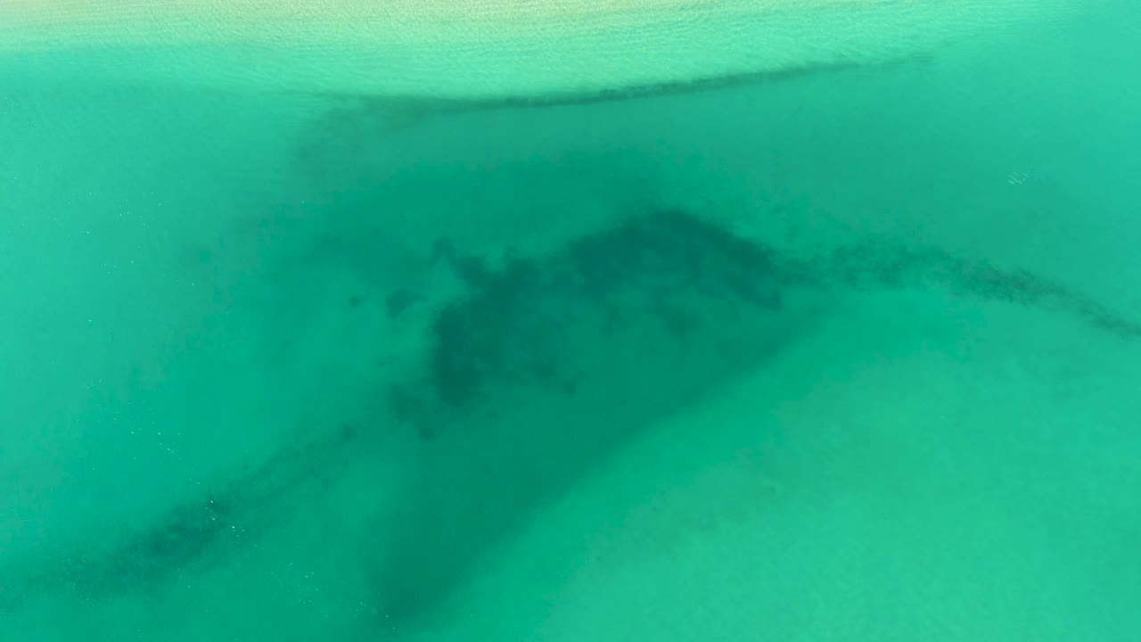 The shark shape sits slightly right of center below green-blue water in La Ribera, with pale sand visible through the surface and no visible people.