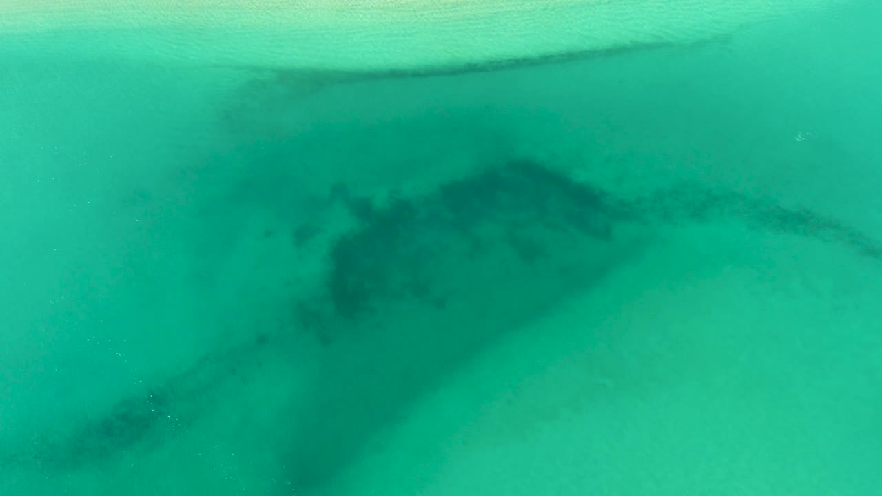 An aerial view shows the dark shark form beneath clear turquoise water in La Ribera, with the lighter bottom curving through the lower right and no visible people.