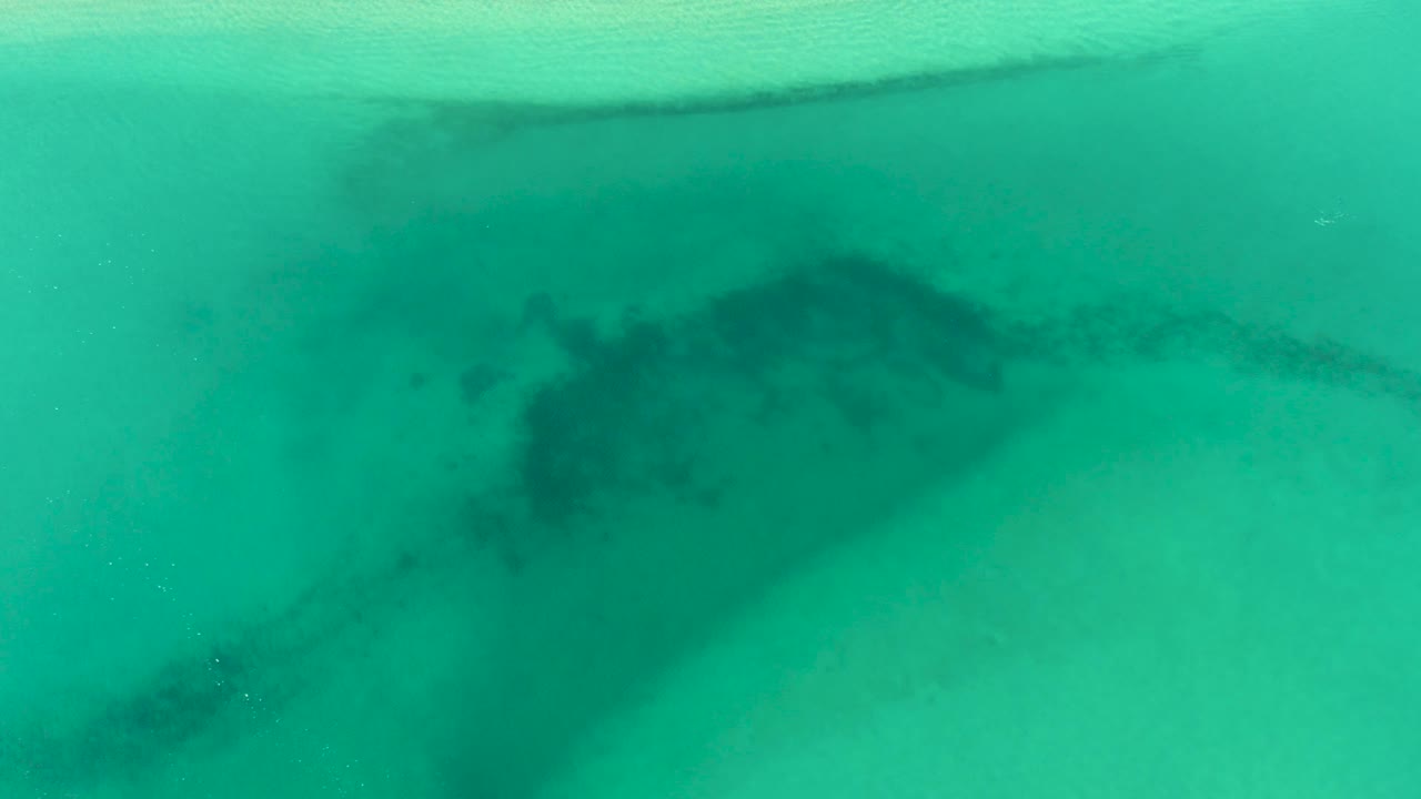 Shark silhouette under green ocean surface near surf band