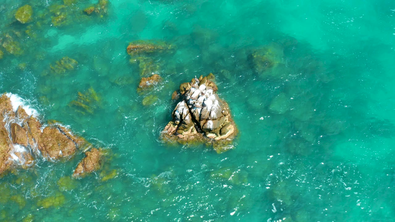 Overhead frame at Dreams Beach in Baja California Sur shows clear turquoise water around a pale cracked rock outcrop, smaller brown rocks at left, and no visible people.