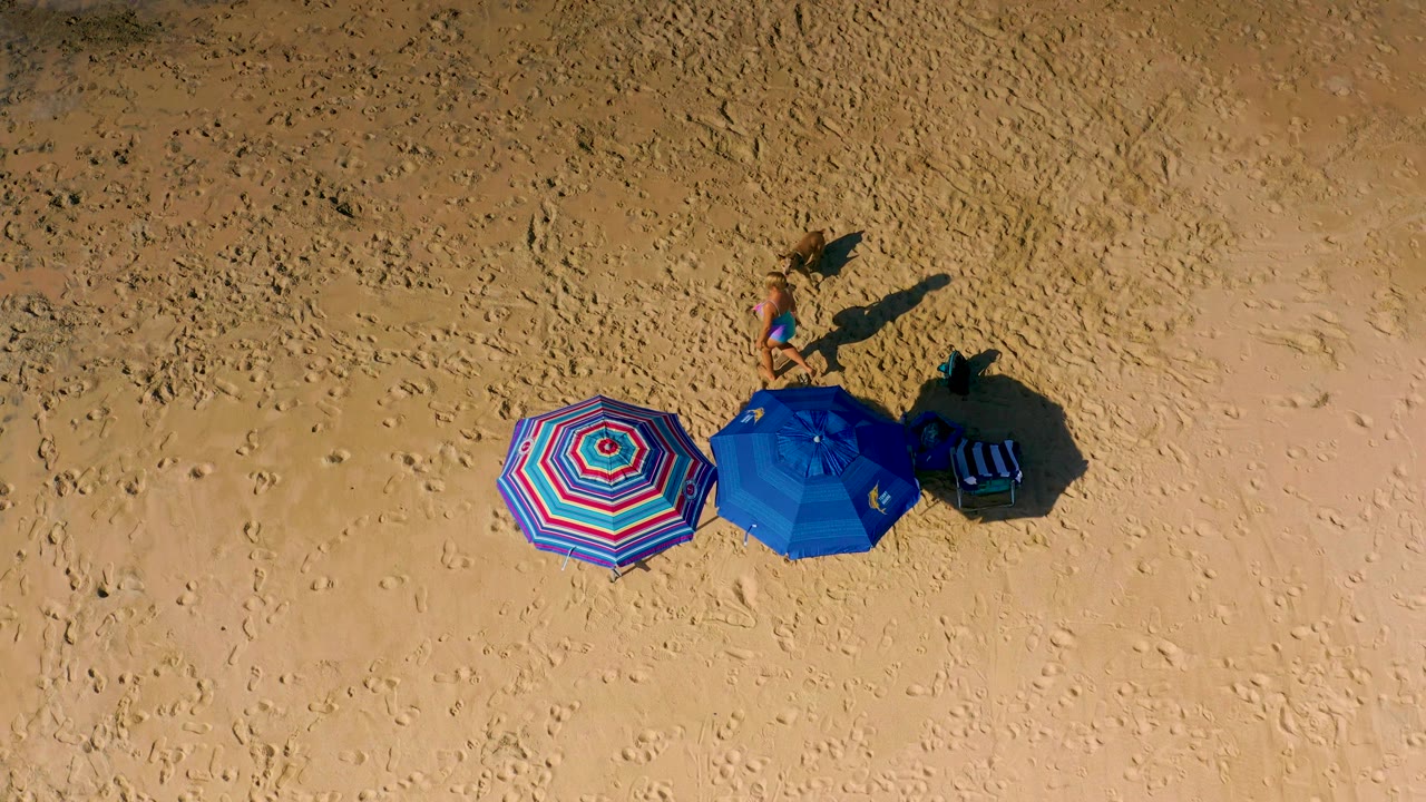 Overhead view in Cerritos, Baja California Sur, with the woman and small dog near the upper part of the frame and two bright umbrellas below on the sand.