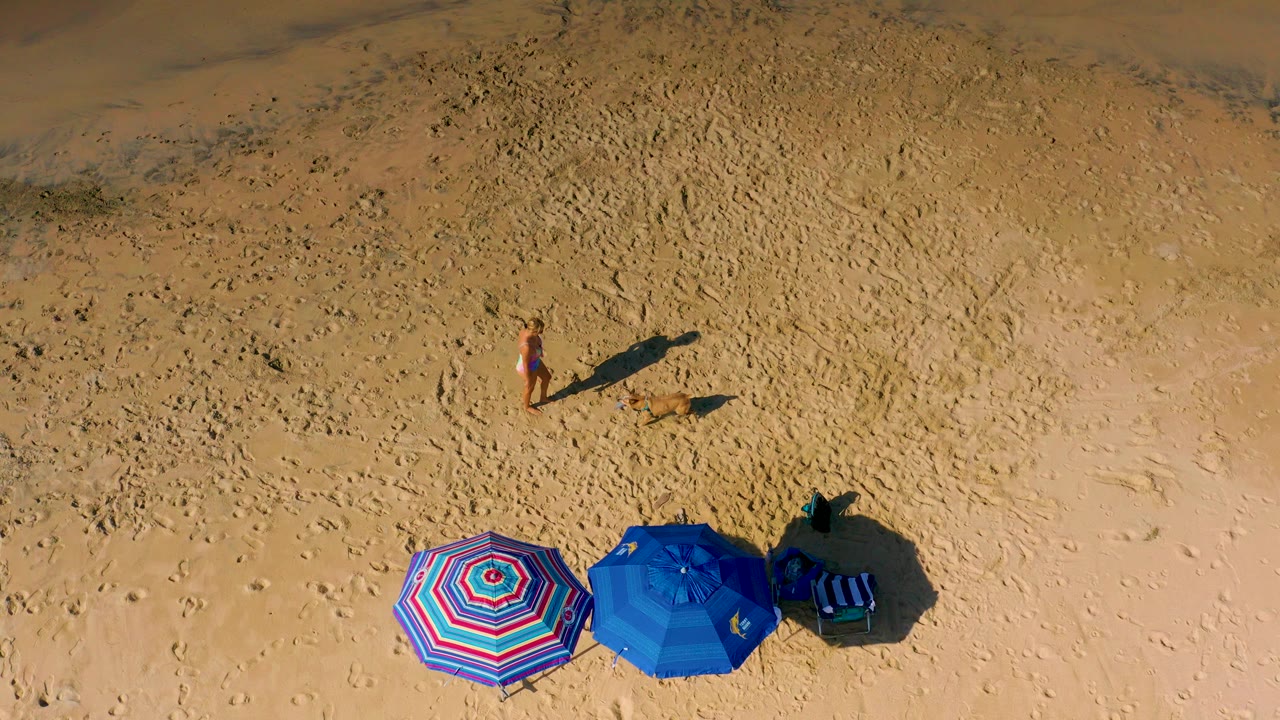 Overhead view in Cerritos, Baja California Sur, with two colorful umbrellas at the lower frame, a woman standing on open sand, and a small dog nearby.