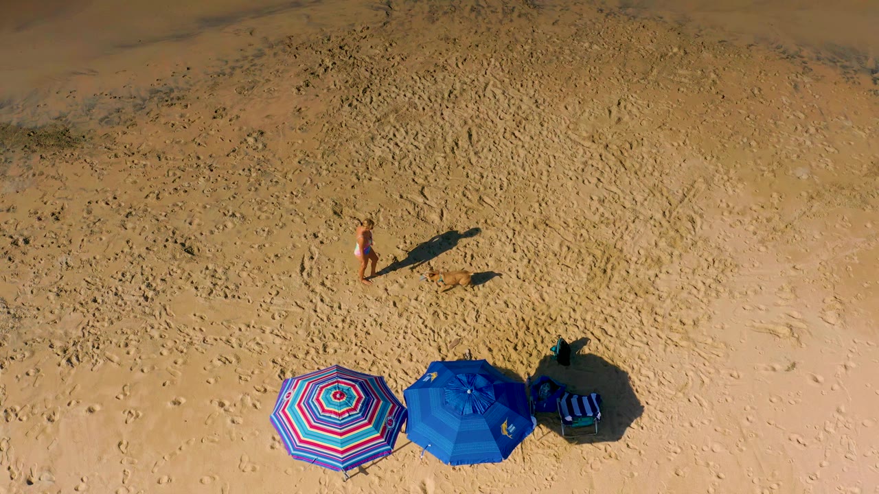 Woman and dog on open sand above two beach umbrellas.