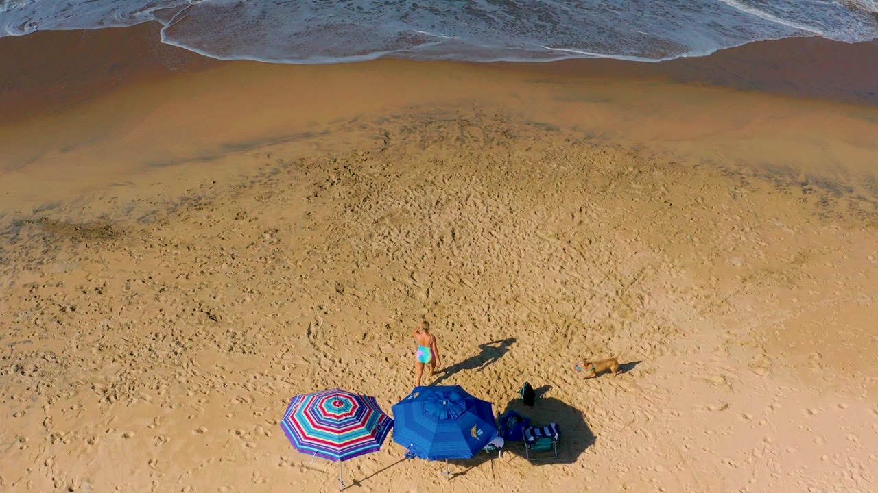 Overhead frame from Cerritos, Baja California Sur, Mexico showing a person in a swimsuit near two beach umbrellas while a brown dog runs on the sand below the surf line.