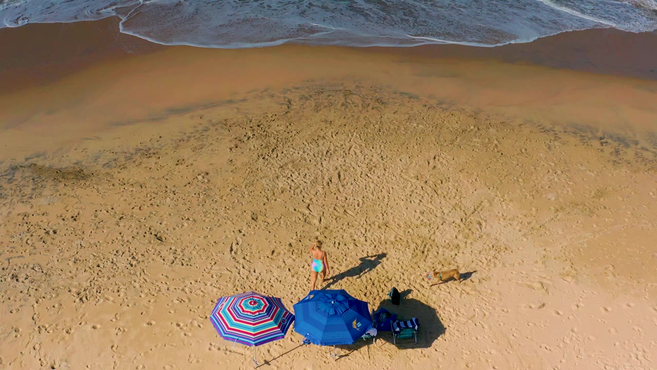 Person and dog on sandy beach near umbrellas as waves reach the top of frame.