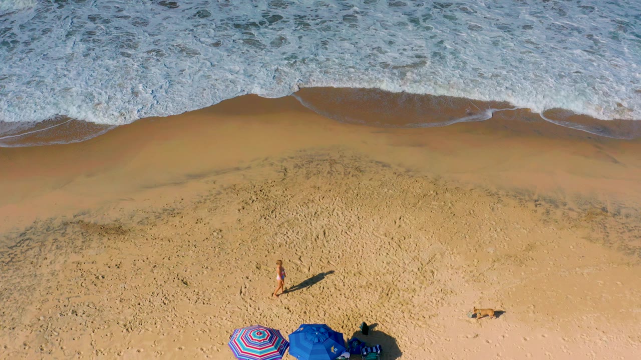 Girl and dog on a sandy beach below a band of breaking waves.