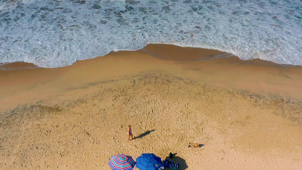 Straight-down Los Cabos beach view with the girl near center sand, the dog and frisbee off to one side, and umbrellas clustered at the lower edge beneath foamy surf.