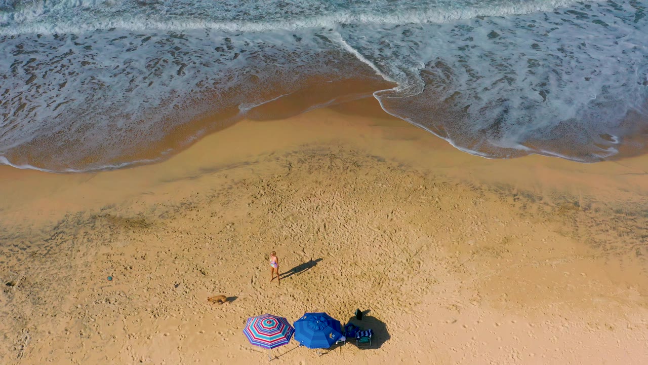 Aerial sand and shoreline with umbrellas, a small person, and a dog.