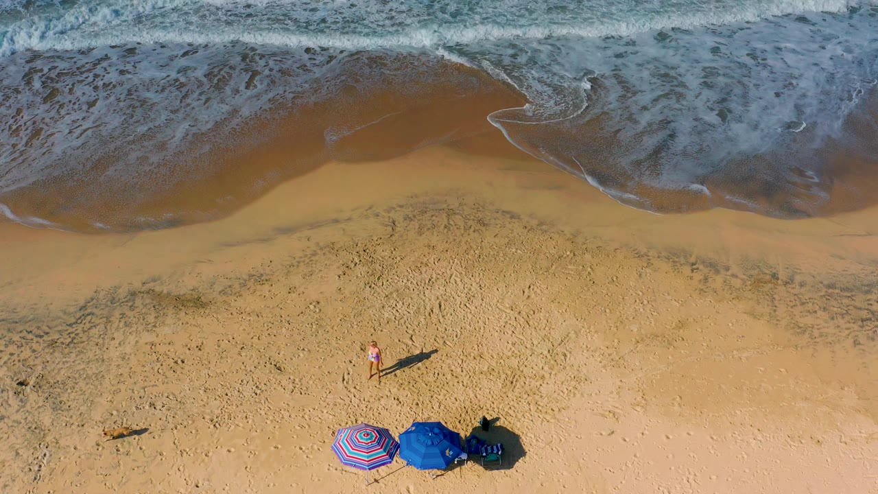 Top-down Cerritos beach view with bright sand, a darker wet shoreline band, foamy water at the top, umbrellas at the lower edge, a small person, and a dog separated across the sand.