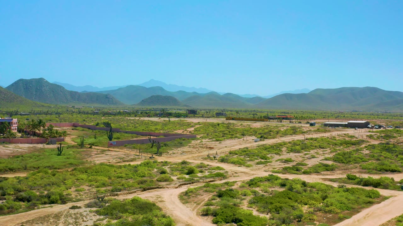 Low desert vegetation and distant mountains under clear sky