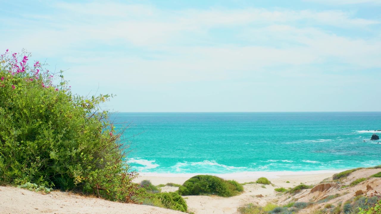 Opening frame from Secrets Marquis Los Cabos, Mexico with leafy shrubs and pink flowers at left, pale sand below, turquoise surf beyond, and no visible people.