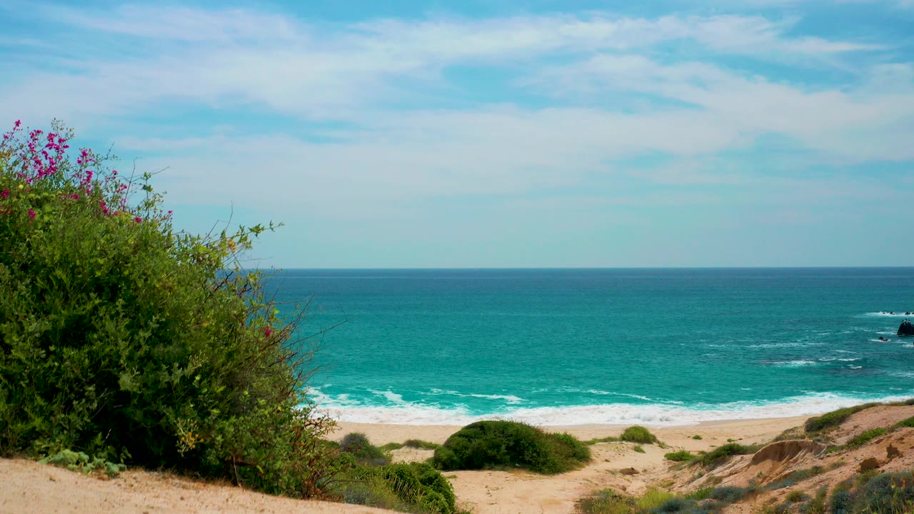 Opening view at Secrets Marquis Los Cabos, Mexico, with green shrubs in the foreground, turquoise ocean beyond a sandy beach, and no visible people.