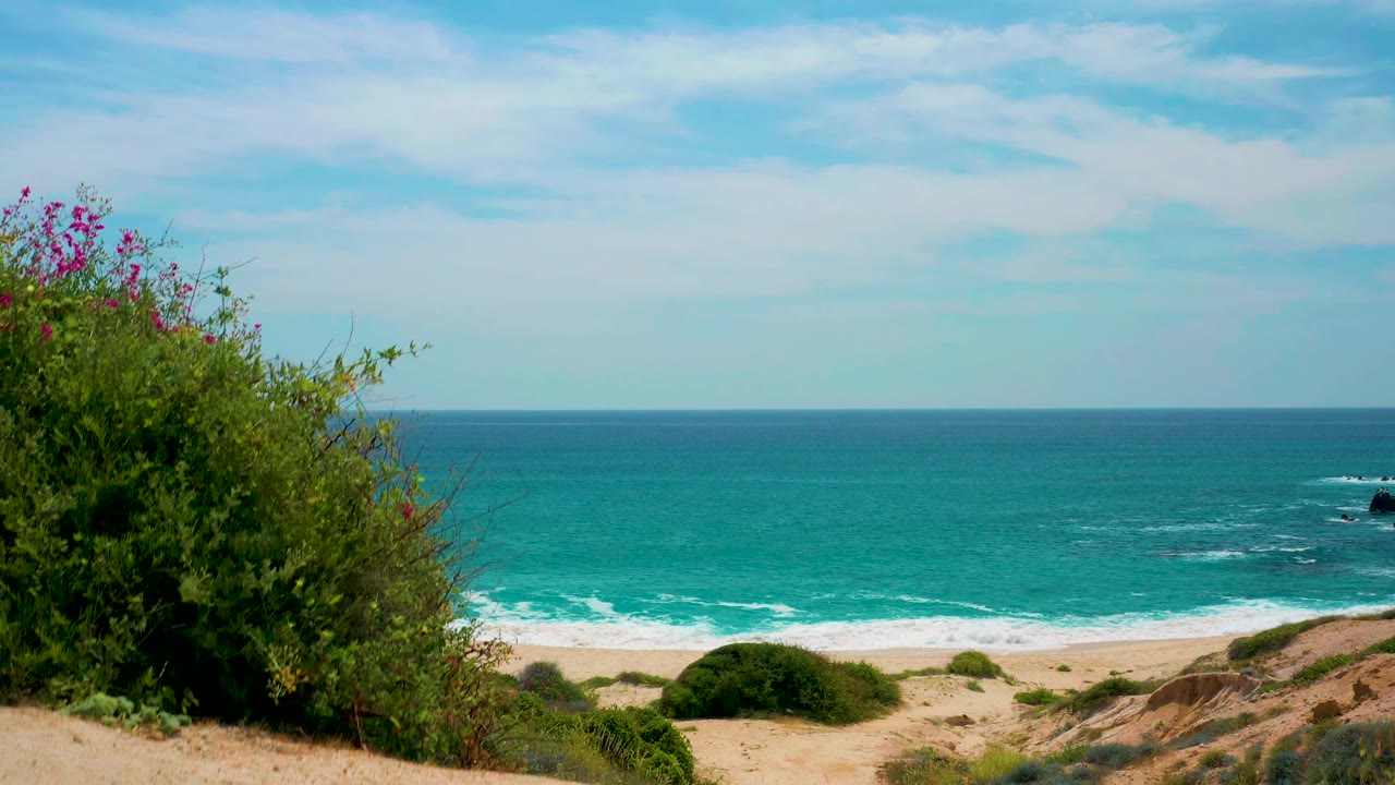 At 0:01, dense shoreline vegetation fills the left foreground while the beach, white surf, and blue-green ocean stretch across Secrets Marquis Los Cabos, Mexico, with no visible people.