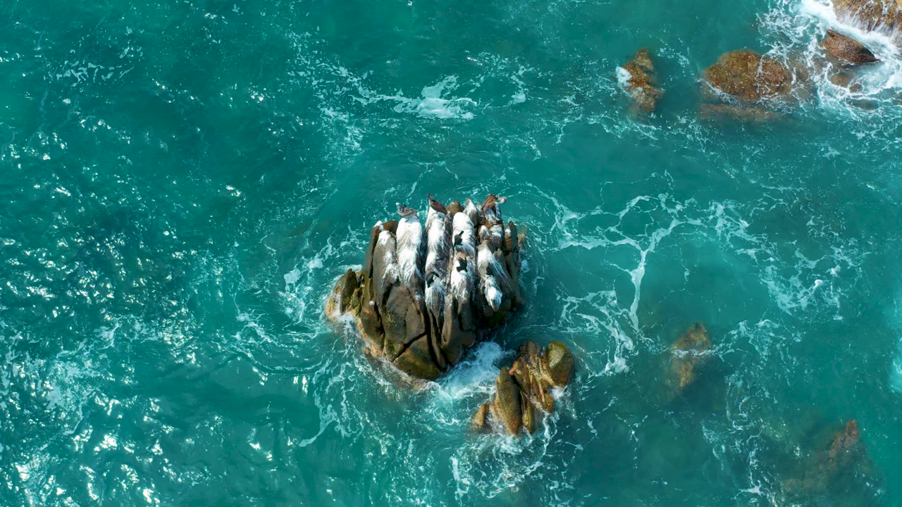 Overhead turquoise water around a rock cluster with white surf.
