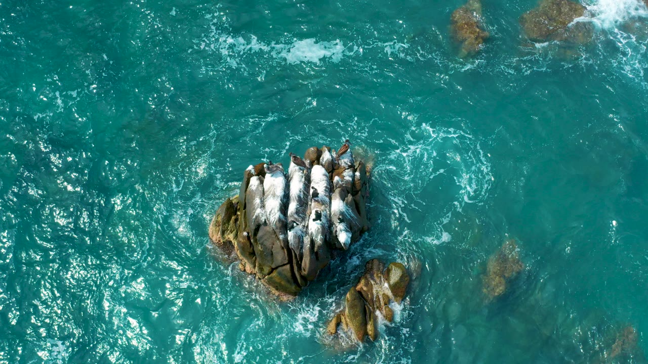 Overhead turquoise ocean with waves around a central rock cluster.