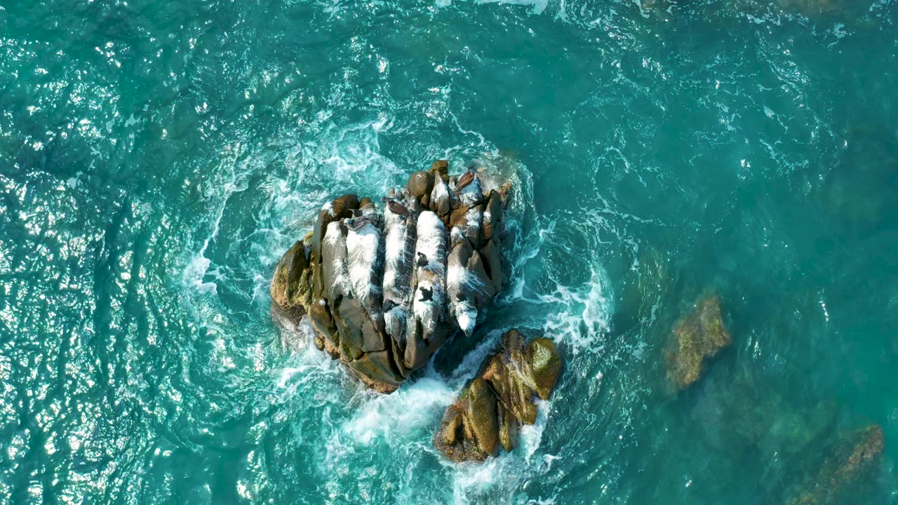 Aerial view from Secrets Marquis Los Cabos, Mexico, with white water breaking on dark rocks and open turquoise water filling the surrounding frame, no visible people.