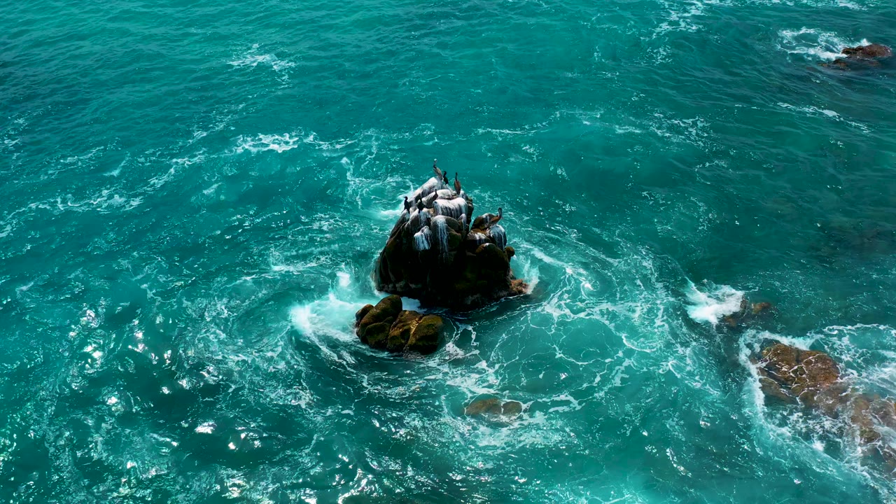 Aerial view of blue water swirling around rocks with birds gathered on the main outcrop.
