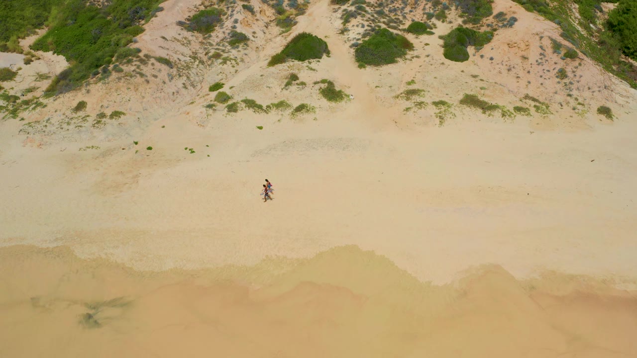 Two small walkers cross open sand between dunes and shallow surf.