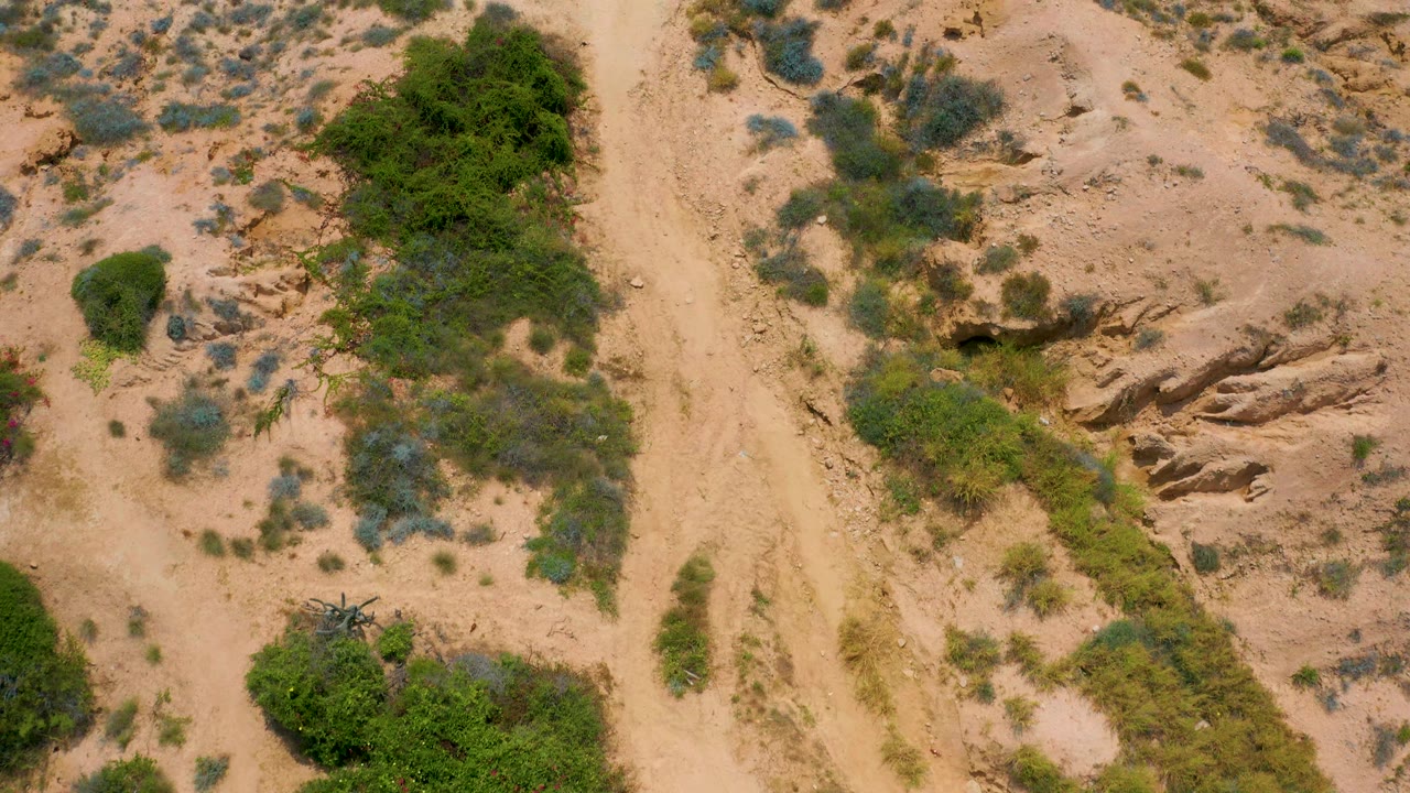 Top-down drone frame over sandy hillside terrain near Secrets Marquis Los Cabos, Mexico, with green shrubs, eroded rock ledges, and no visible people.