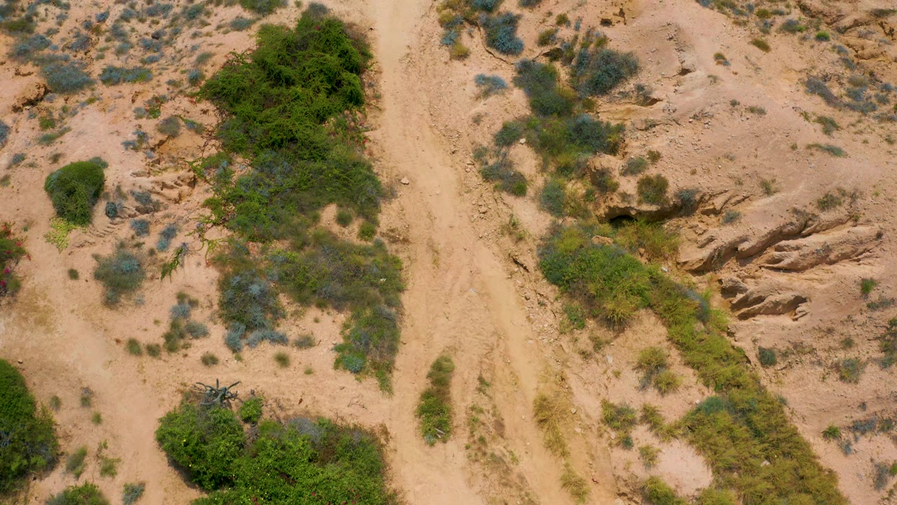 Aerial view of tan sand and clustered greenery near Secrets Marquis Los Cabos, Mexico, with exposed rock formations at the right and no visible people.