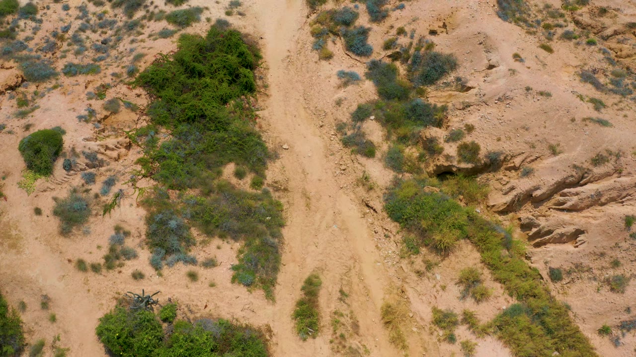Overhead frame of scrub-covered sandy ground near Secrets Marquis Los Cabos, Mexico, with a pale path through the center, rock outcrop to the right, and no visible people.