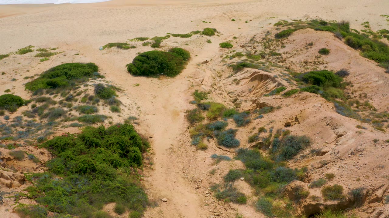 Aerial view at Secrets Marquis Los Cabos, Mexico, showing tan dunes, scattered shrubs, and the beach beginning to appear near the top edge, with no visible people.