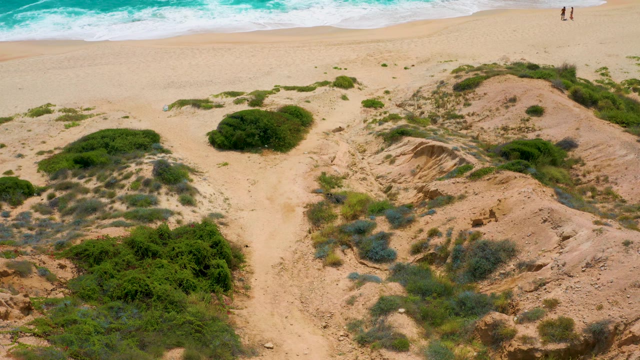 Beach surf behind sandy dunes and bushes