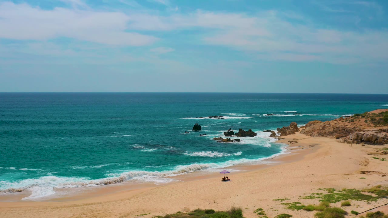 Wide ocean horizon over waves, sand, rocks, and beach plants.