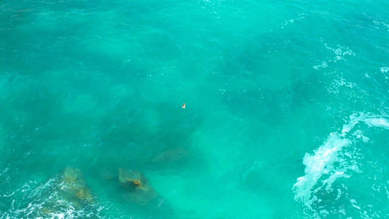 Top-down ocean view at Secrets Marquis Los Cabos, Mexico, with a tiny floating mammal-like subject near the upper right, submerged rocks below, white foam, and no visible people.