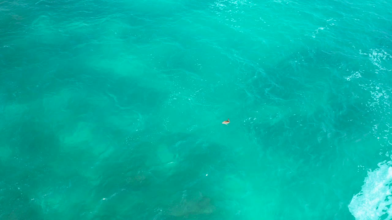 Straight-down aerial view over turquoise ocean at Secrets Marquis Los Cabos, Mexico, with a tiny swimmer near the upper left area and white foam entering near the lower right edge.