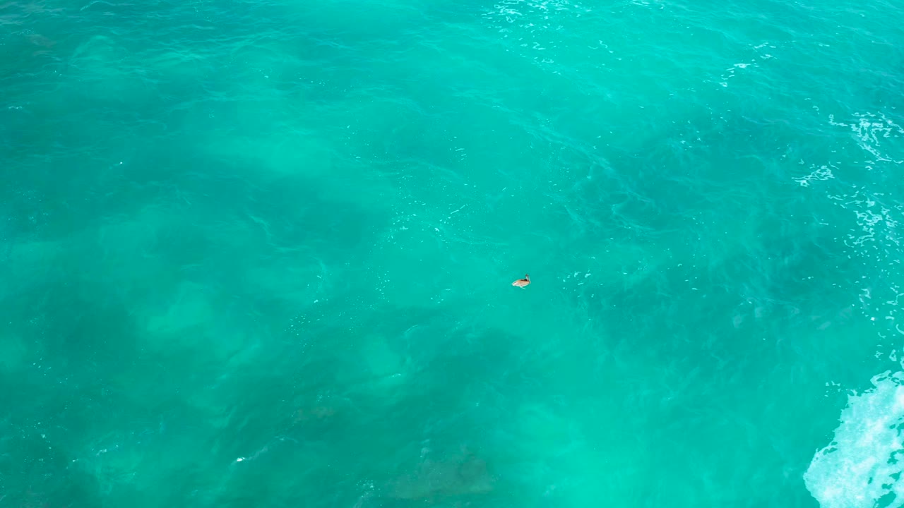 Overhead ocean view at Secrets Marquis Los Cabos, Mexico, with the swimmer still small in frame, darker underwater shapes across the center, and a white foam patch along the lower edge.