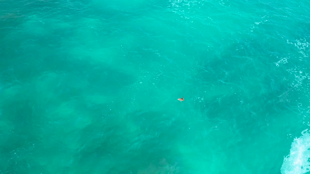 Aerial top-down frame at Secrets Marquis Los Cabos, Mexico, showing rippled turquoise water, a tiny swimmer near the upper right area, and a bright foam patch at the right edge.