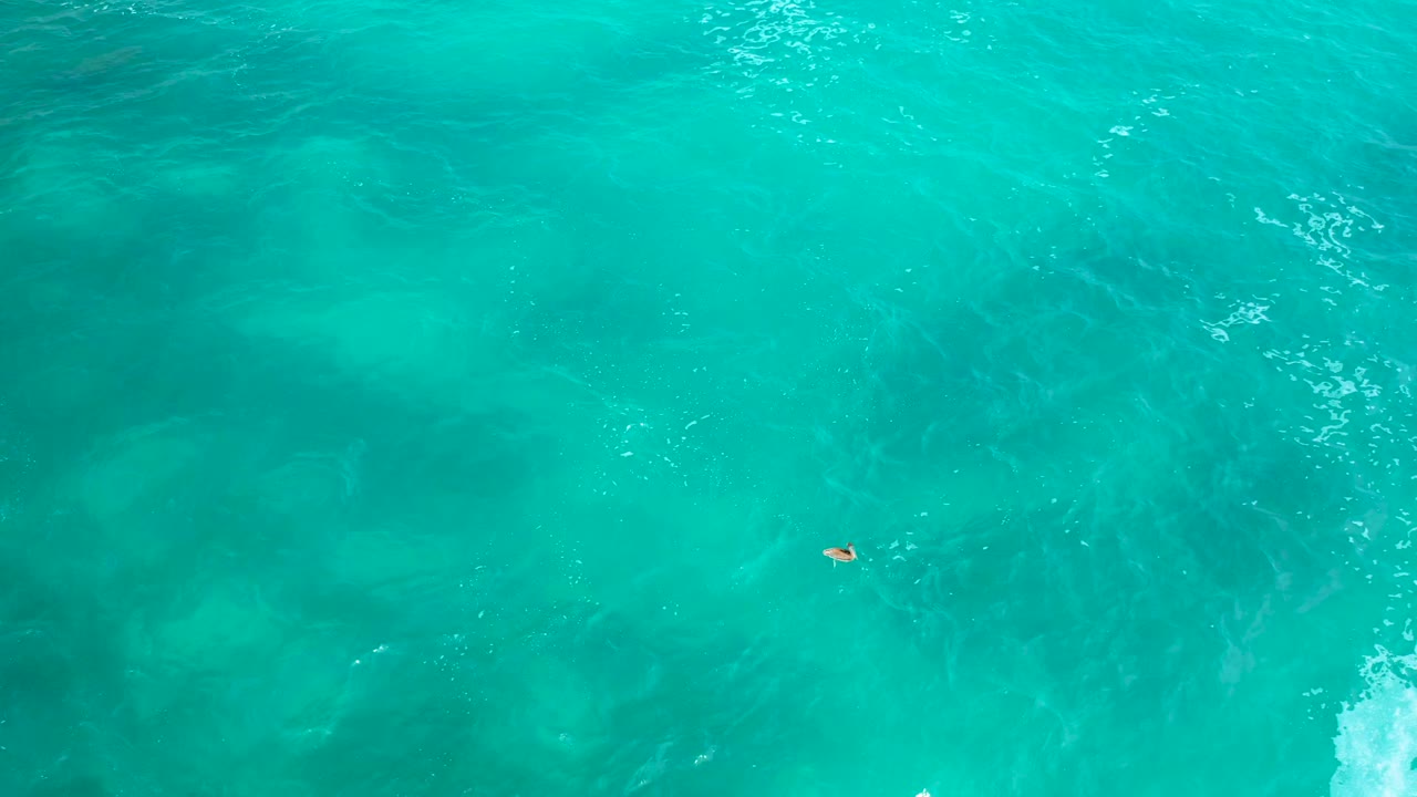 Top-down frame from Secrets Marquis Los Cabos, Mexico with the lone swimmer slightly left of center, turquoise water texture, and faint submerged darker areas visible below the surface.
