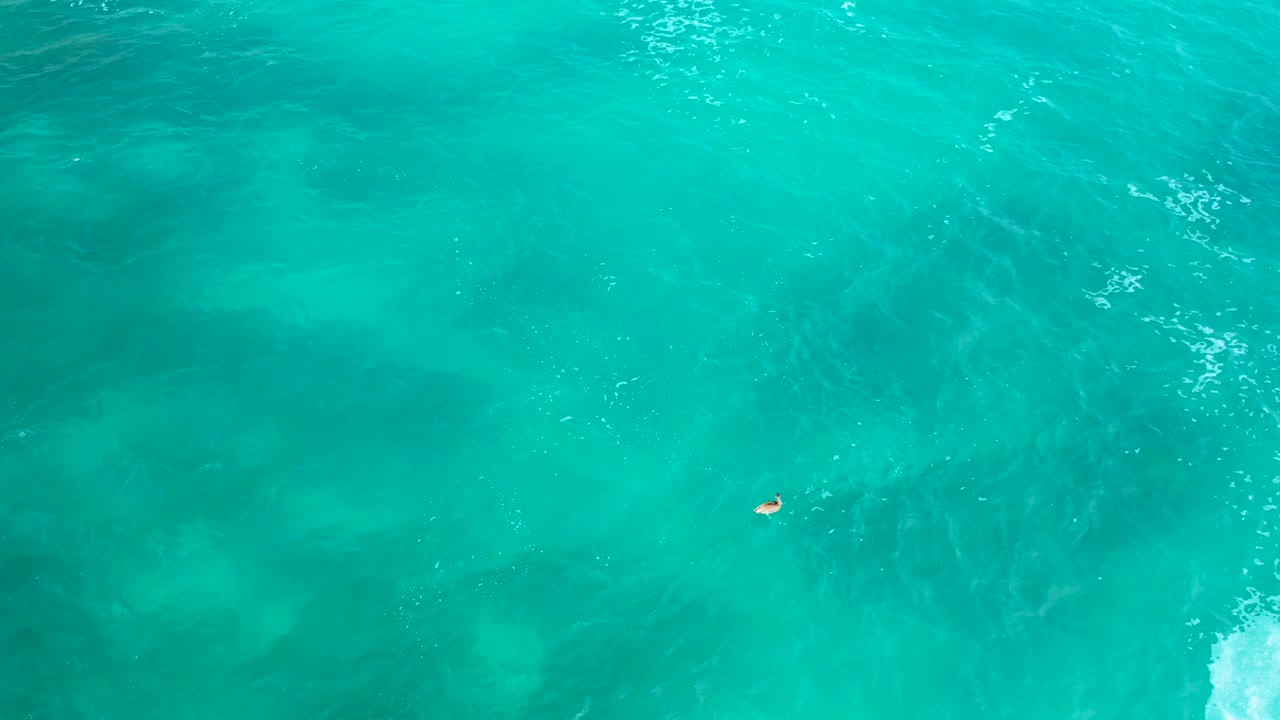 Overhead Secrets Marquis Los Cabos, Mexico view with the swimmer appearing as a small figure to the right, green-blue ocean filling the frame, and white surf foam touching the lower right edge.