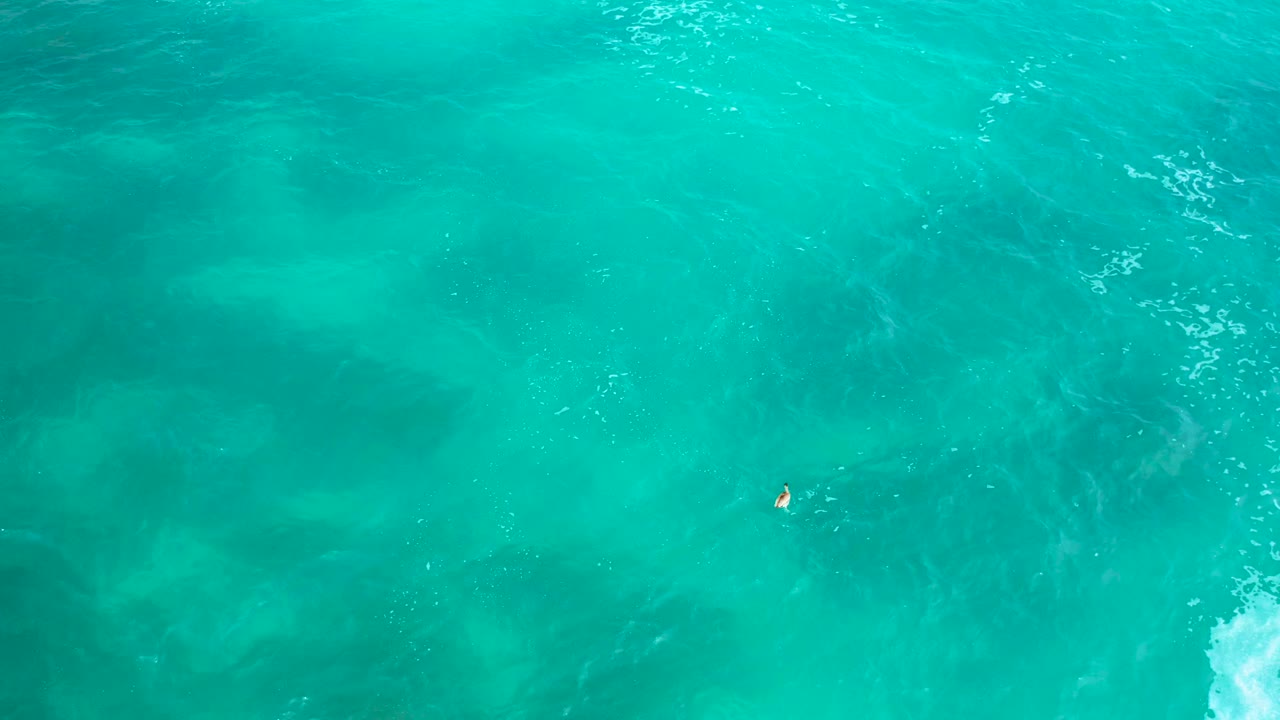 Top-down frame at Secrets Marquis Los Cabos, Mexico showing a tiny lone swimmer in the lower-left half, broad turquoise water, and a brighter foam patch entering from the lower right.