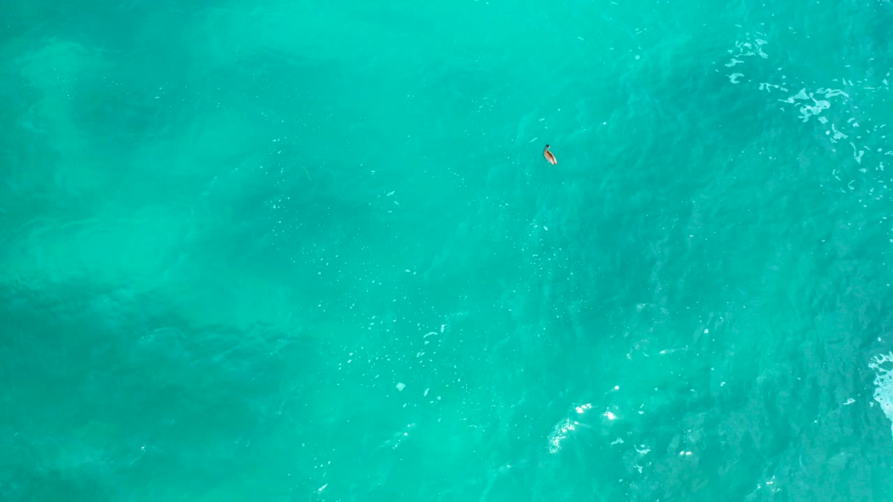 Overhead view of turquoise water at Secrets Marquis Los Cabos, Mexico, with darker patches below the surface and a tiny orange-and-white boat or surfer near the upper center, no visible people.